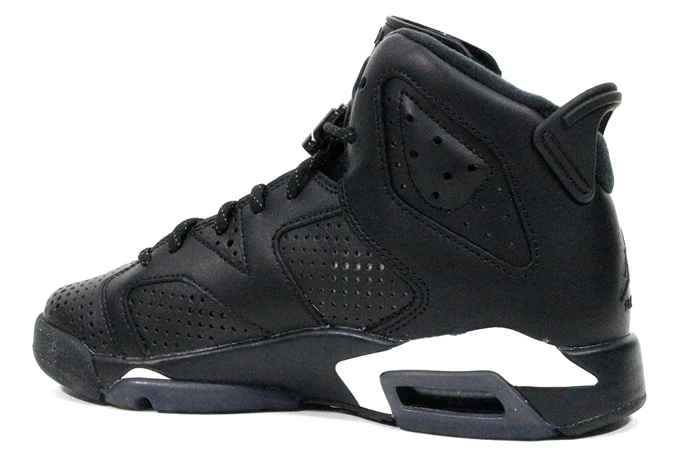 Air Jordan 6 Retro "Black Cat" GS