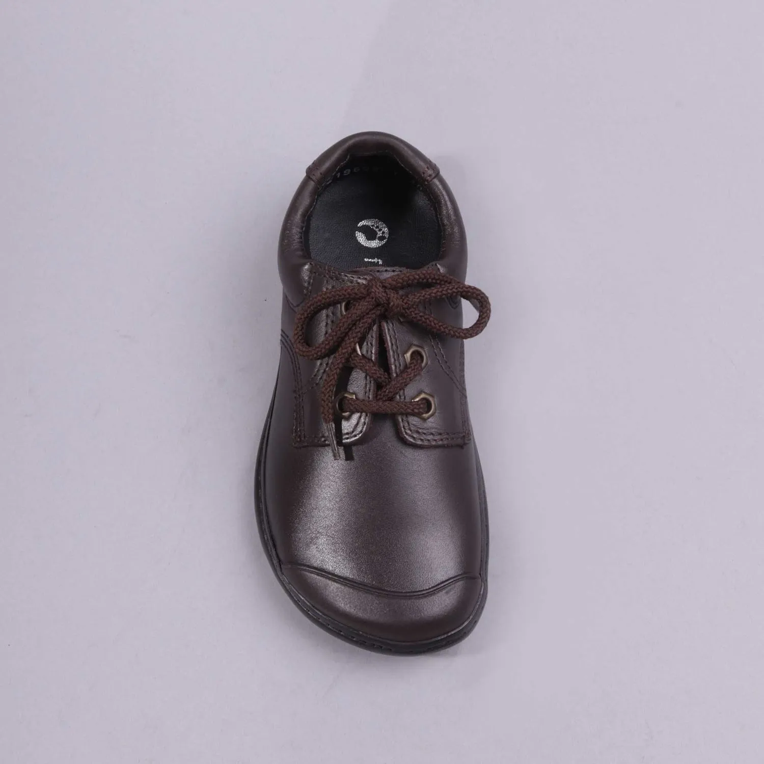 Boys Lace-up School Shoe in Brown Sizes 28-33 - 7823